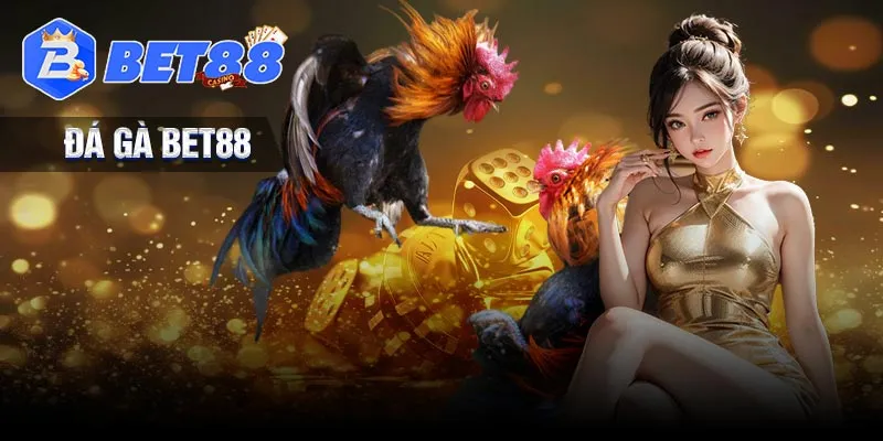 Lý do bạn nên đặt cược vào đá gà Bet88