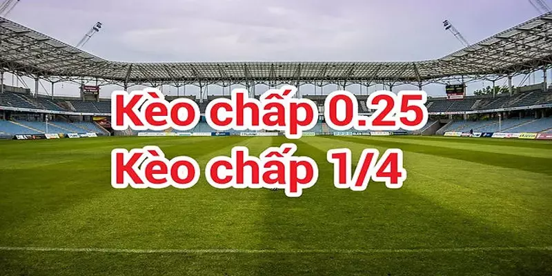 Tỷ lệ handicap 0.25